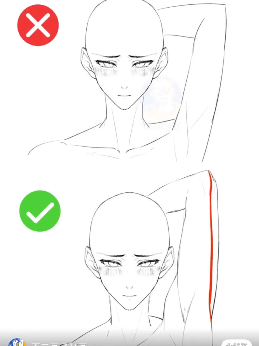 ฅ≽(•⩊ •マ≼  anatomy tutorial for artists from RedNote ~ save and practice . follow for more art lessons and art ideas 💡  . . . credit: id94161205590 . . #arttutorials #xiaohongshuart #artlesson #animeart #animearttutorial  #урокрисования  #howtodrawanime #animeillustration #anatomylesson #animeinspiration #artidea 
