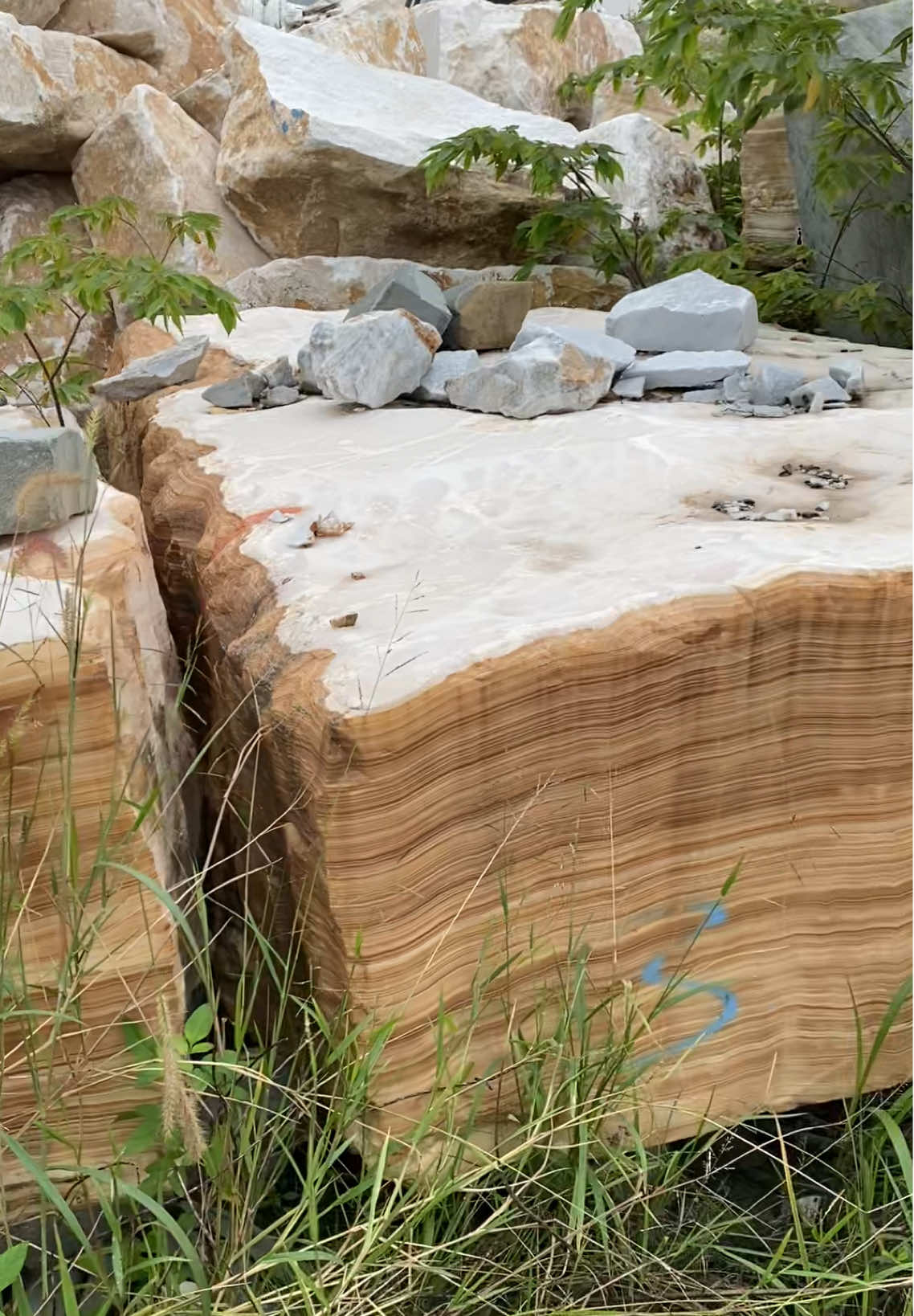 Đá ngọc Onyx trắng dành cho các sản phẩm tượng cao cấp, sang trọng và đắt tiền. Dòng đá này nhập khẩu từ Pakistan và được nhập về làng nghề Non Nước. Đá Onyx này phục vụ cho việc điêu khắc và làm tượng đá các loại. #onyx #stone #rock #dieukhac #carving #statue #sculpture #viral 