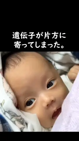 どっちも可愛い  #バズった動画 #わろたぴーぽー #草 #面白い #面白い #ユーモア #写真 #ヒーリング #おすすめ #幸せ面白いねwwww#面白い画像 #面白い #不思議な #運動 #驚くべき #共感 #笑わせる #ユーモア #写真#ヒーリング#おすすめ#驚く