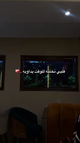 @pakikou_el_meryoul 