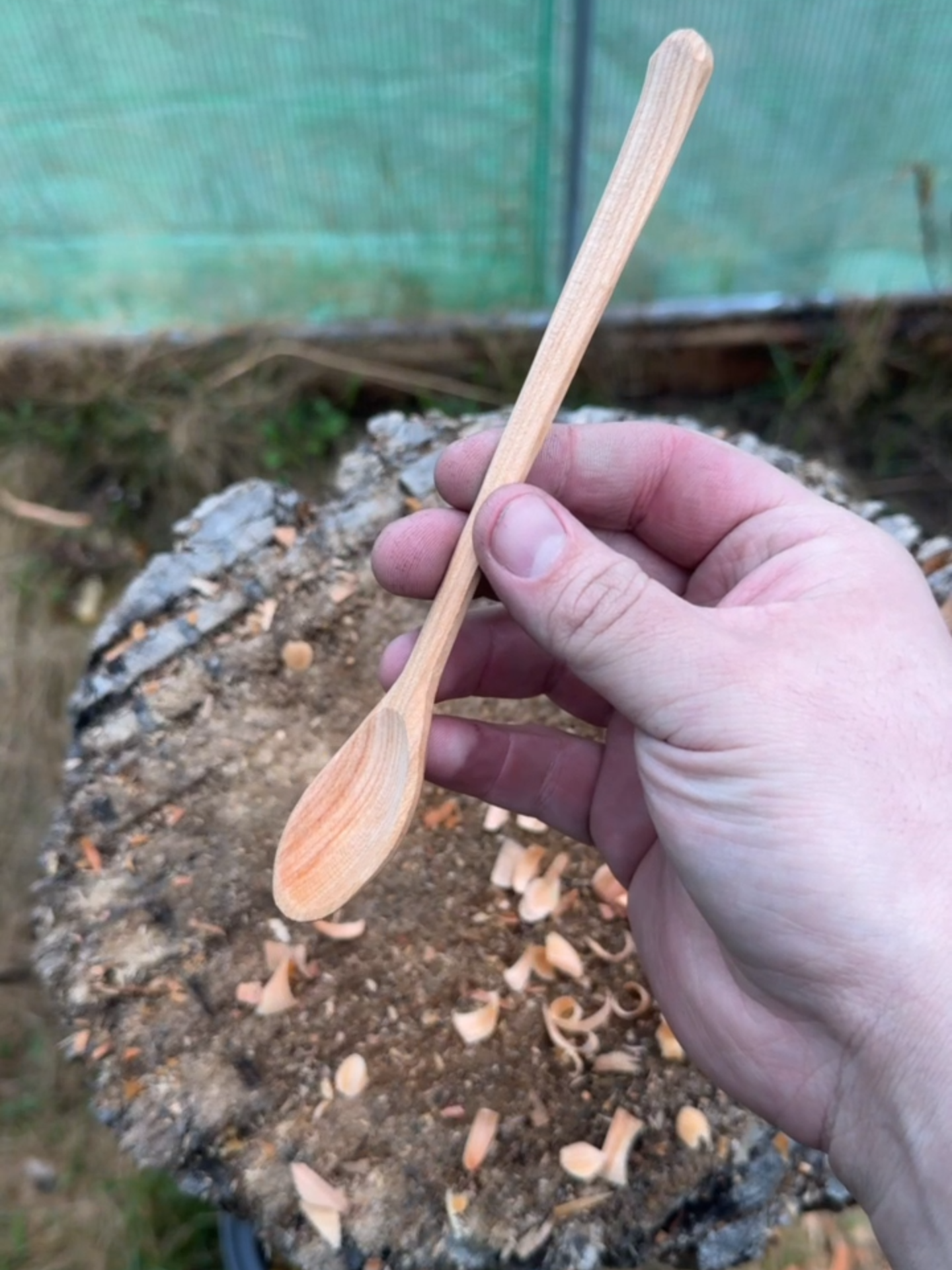 fpoon #asmr #spooncarving #bushcraft