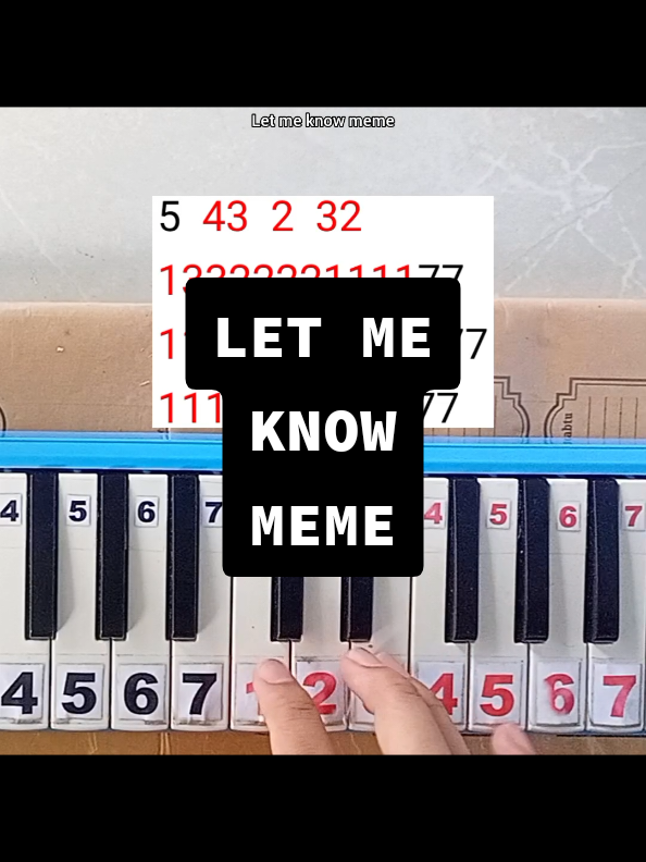 #foryoupage #fyp #xyzbca #pianika 