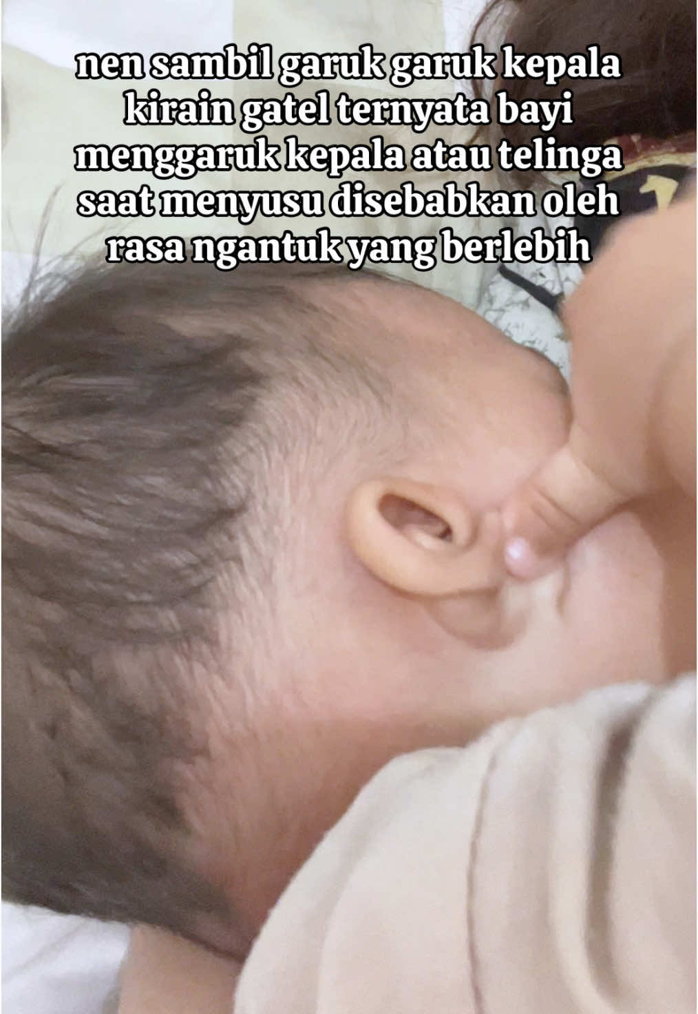 Kalo udah gini bawaan nya pengen bantuin garuk-garuk😂 #fyp #trending #bayilucu #vitamin 