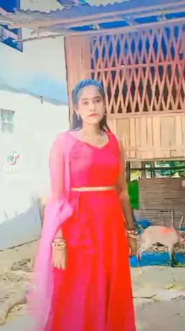 #tiktokuni #tiktotamilblackgirl #ခများလေးတို့ရဲ့ချစ်မဝလေးဖြစ်ချင်လို့🥰🥰🥰 