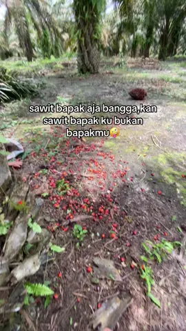##🤪 