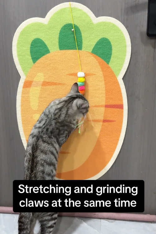 New wall mounted cat scratching board! Cats prefer to rub their paws while stretching. And the material is wear-resistant and does not shed chips!#catstuff #cataccessories #catscratchingboard 