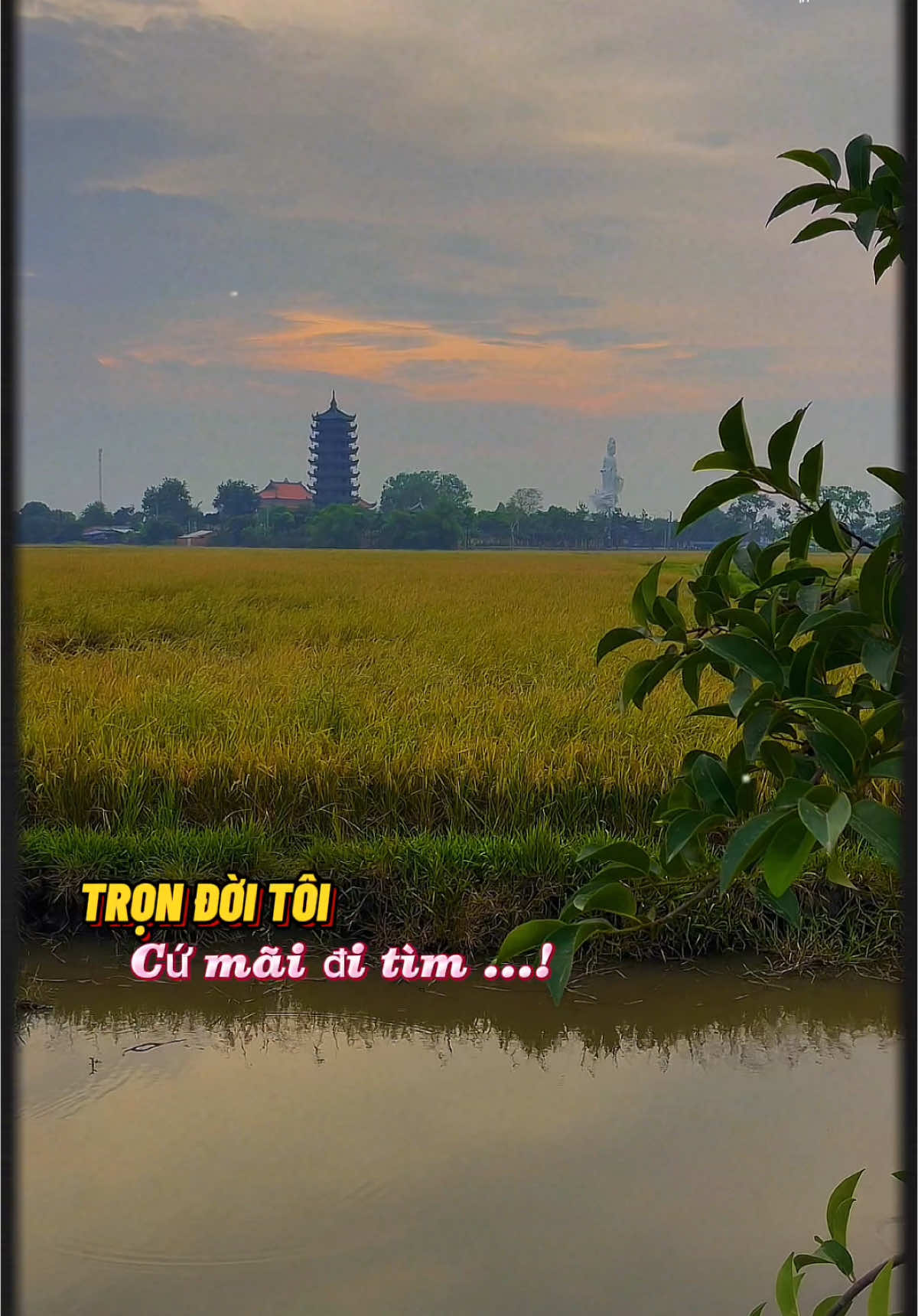 Mộng đầu tan vỡ #sad #nhactamtrang #kecodon #xuhuong #phuongoi70 