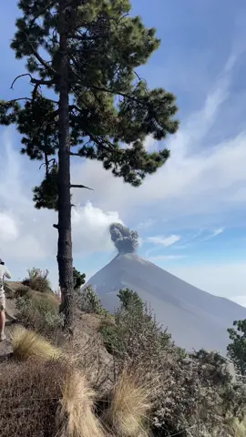 Have you heard of the Santa Maria Volcano in Guatemala? The free, non-touristy version of Acatenango! 🌋🌋 #travel #backpacking #guatemala #volcano #antiguaguatemala #xelaguatemala #quetzaltenango #centralamerica #Hiking #travelguide #traveladvice #travelguatemala #guatemalatravel 