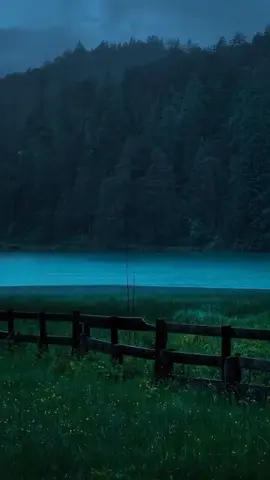 #lonely #scary #lake #eveningtime #yourhomepage 