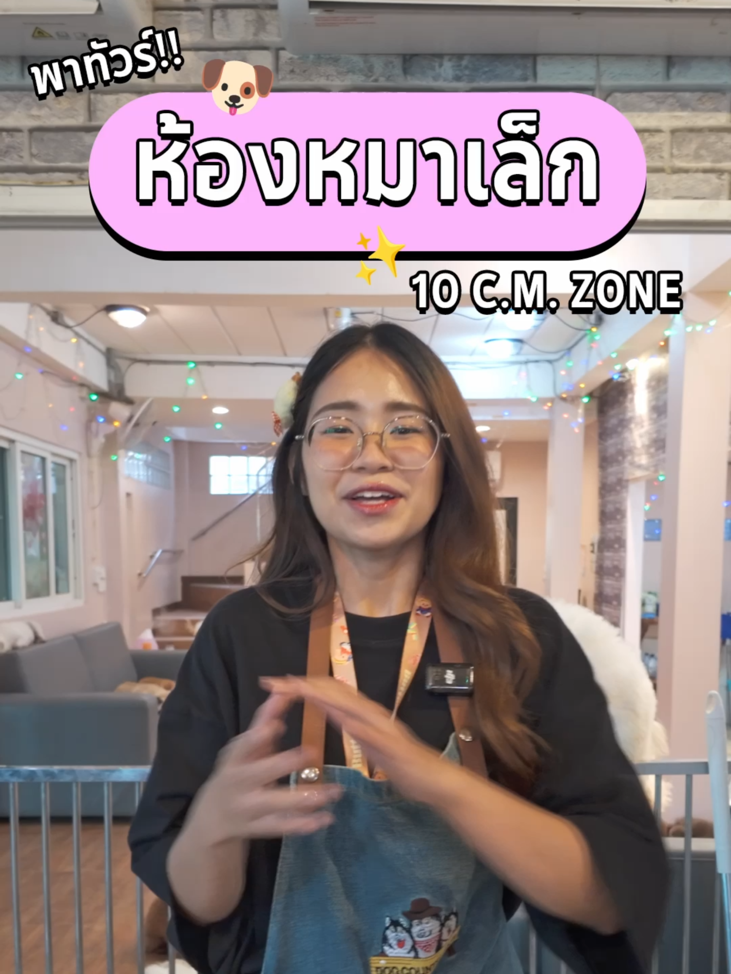 สตาฟแก้มพาทัวร์ ห้องน้องหมาเล็กหัวใจโต๊โต กับห้อง 10 C.M. ZONE #dogcountrycafe #dogcafe #dogs #cafe #dog #หมา #คาเฟ่ #คาเฟ่หมา #Tiktokคาเฟ่ #tiktokสัตว์เลี้ยง #tiktokท่องเที่ยว #หมาน่ารัก #30sec #หมาตลก