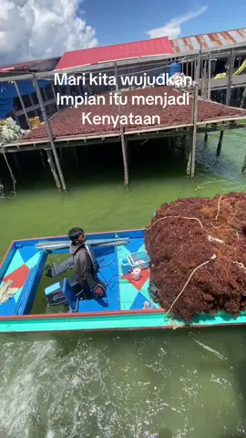 #rumputlaut #cbrdimari🤟 #fyplewatberandamu #bismillahfypp #