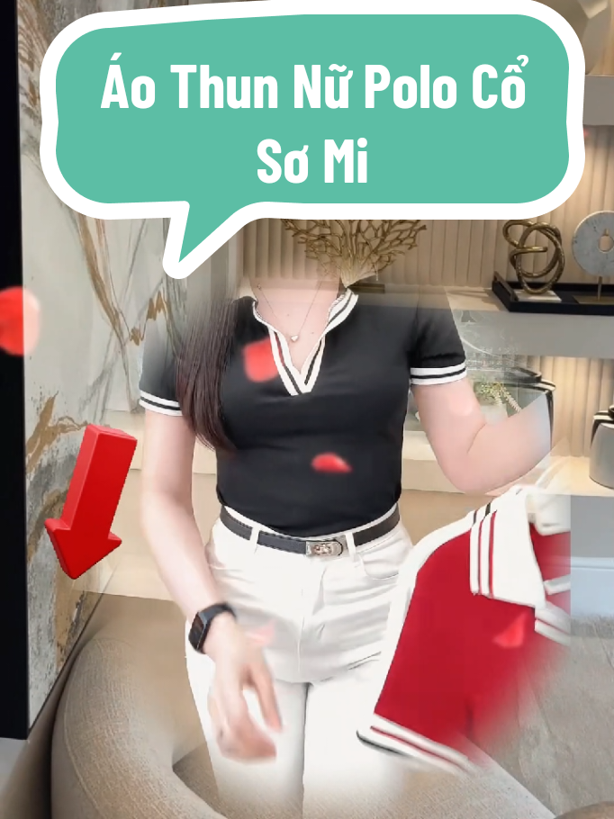 Áo Thun Nữ Polo Cổ Sơ Mi #camnangthoitrang24 #thoitrang #thoitrangnu #review #champhanreview #áo #aothun #aothunombody #aothunnu #aothunpolo #phoidoxinh 