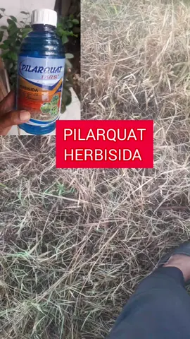 PILarquat herbisida #pilarquat #herbisida 