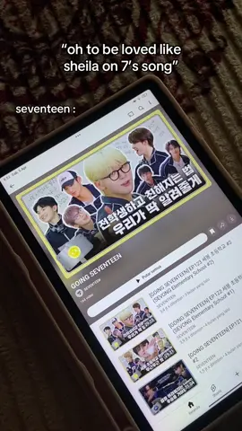 #seventeen #carat #svt #gose #goingseventeen #sheilaon7 
