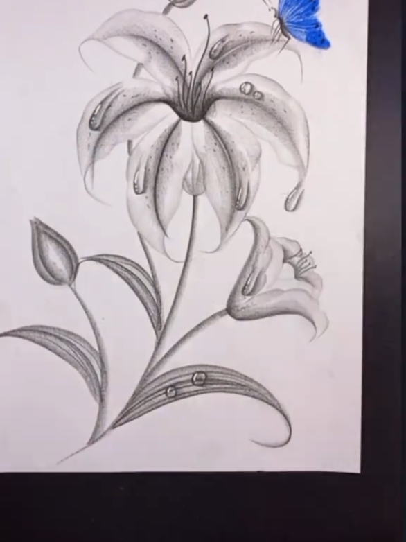 How To Draw With a Pencil ✏️  . . . #howtodraw #artistsoftiktok #drawingtutorial #drawingprocess #drawingchallenge #drawings #sketch #draw 