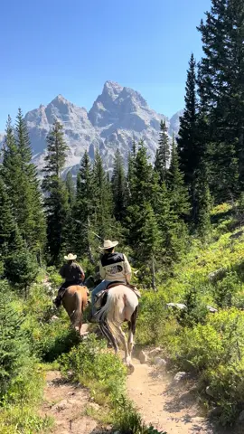In my opinion a very hard hike for poor horses📍Cascade Canyon -Grand Teton National Park  #grandtetons #hike #horses #fyp 