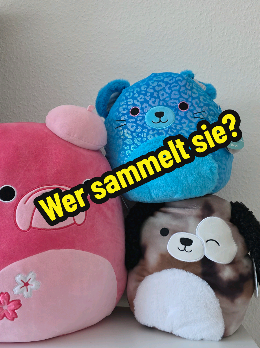 Werbung Wer sammelt  @Squishmallows  Wir lieben die süßen Figuren. Perfekt zum sammeln,spielen,tauschen und verschenken. Zerdan der Hund  Elise die Bulldoge Sarge der blaue Jaguar Wen nimmst du mit? @Smyths Toys Superstores  #squishmallowcommunity #smithtoys #squishmallowhunting #squishmallowsofinstagram #squishmallow #squishmallowcollector #squishmalloe #squishmallowsofinsta #sammelspaß #spielundspaß #sammelfiguren #contentcreator #contentcreatorin #contentmarketing #markennennung #markennennungunbezahlt #marken #playtime #smithtoys #smithtoystore #viraltoys #viral #kidstiktok #toysforkids #kinder #fyp #foryou #foryoupage  #welovesquishmallows 