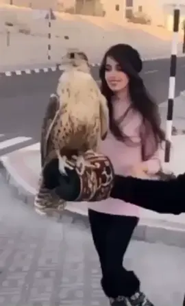 #مقناص_الصيد #طيور #قصيد 