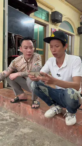 @Tấn Lucky( Thằng con rể ) nhân tài lãng trí #xuhuongtiktok #xuhuong 