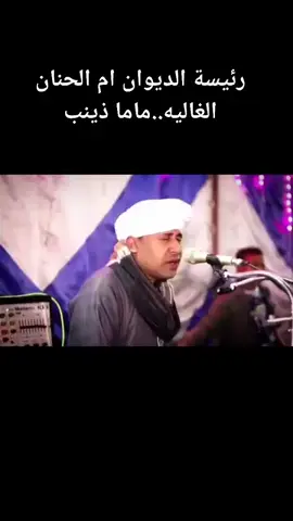 #ستنا السيدة زينب الغاليه 