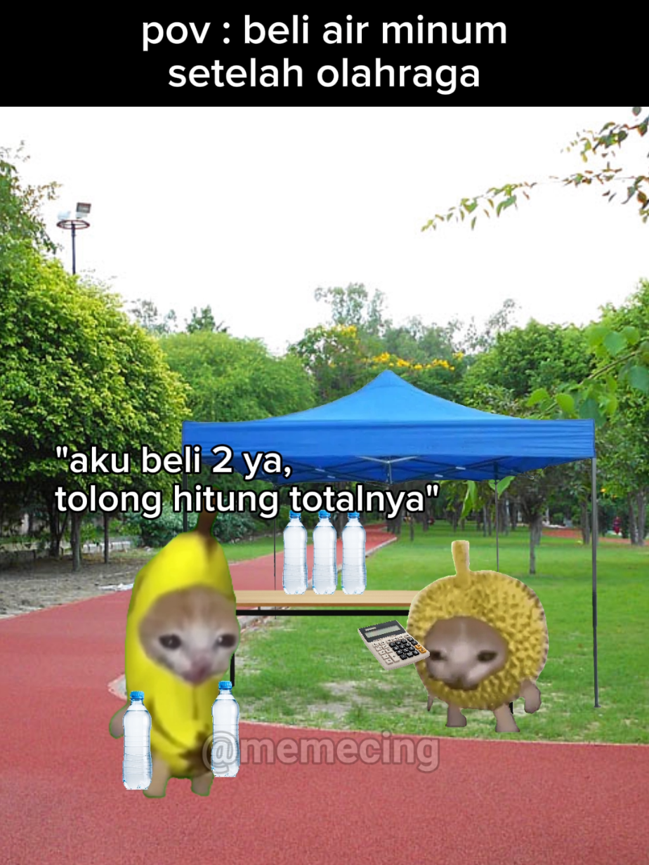 matematika adalah misteri🗿 #meme #memekucing #kucinglucu #memecat #fyp #viral 