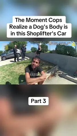 The Moment Cops Realize a Dog's Body is in this Shoplifter's Car#cops #copsoftiktok #police #policeofficer #bodycam #crime #truecrime #truestory #foryou #fyp 