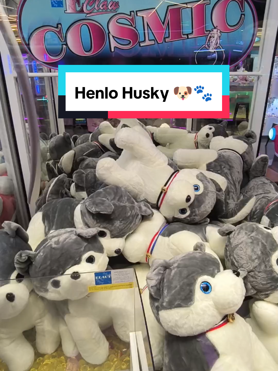 Guess which Husky is my target 😁 #clawmachine #clawmachinewin #husky #dog #plushies #timezone #arcade #tricks 
