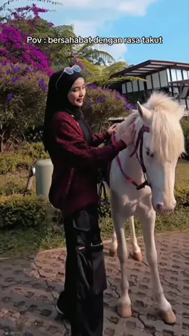 Berhadapan dengan ketakutan ternyata tidak seburuk itu😊 #kuda #hourse #india #song #slowmo #fyp 