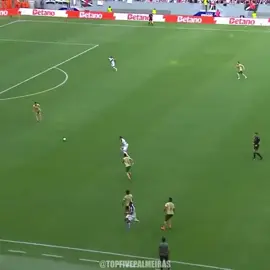 FLACO LÓPEZ: ARTE DO GOL #palmeiras #flacolópez