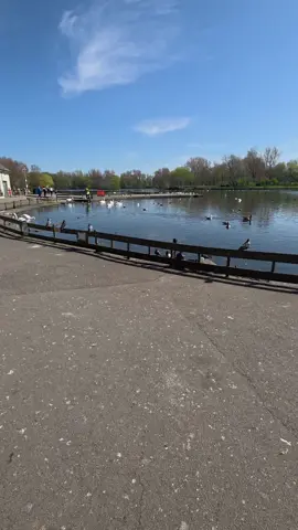 one of the best parts of Blackpool Stanley Park  #stanleypark #boatinglake #placestosee #thingstodo #daysout #lake #fountain 