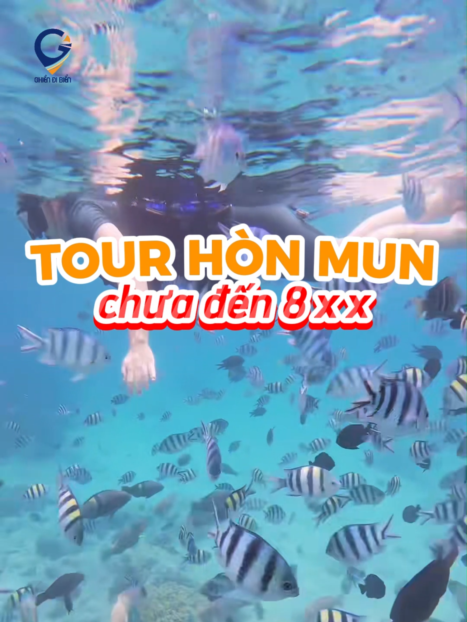 Tất tần tật ưu đãi tham quan Hòn Mun Nha Trang cho cả nhà mình nhé. Chưa đến 8 O O / người mà được tận hưởng làn  nước trong xanh bậc nhất và rạn san hô rực rỡ vô ngần luôn nha. #ghiendibien #tournhatrang #nhatrang #trending #xuhuong #2025 #tour4dao #tour #viral #thinhhanh #tour3daonhatrang #vinwonders #nhatranghotel #minibeach #vinpearl