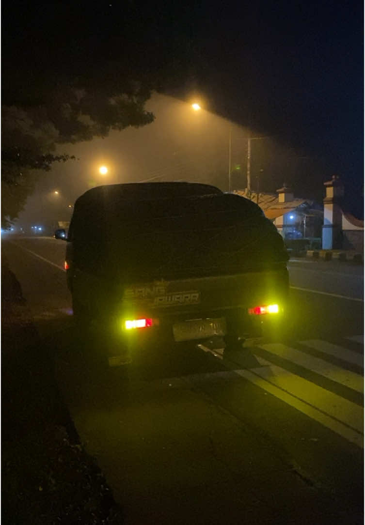 wong lia ngerti apa.                           #l300maniaindonesia #l300_pickup #l300jateng #banjarnegara24jam #l300euro4 #sangjawara #elsapekindonesia 