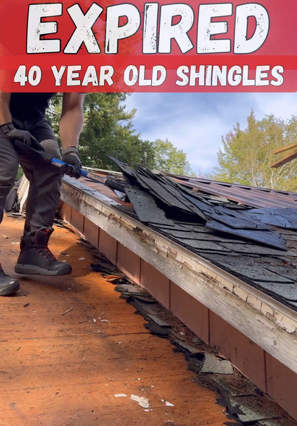 🚨EXPIRED🚨40 year old Roof! Installing. Disclaimer. It’s recommended to install shingles in 40F or warmer. Also makes sure to have all recommended PPE. #construction #homerenovation #renovation #DIY #realestate #design #entrepreneur #tools#remodel #interiordesign #carpentry #woodworking #diy #roofing  