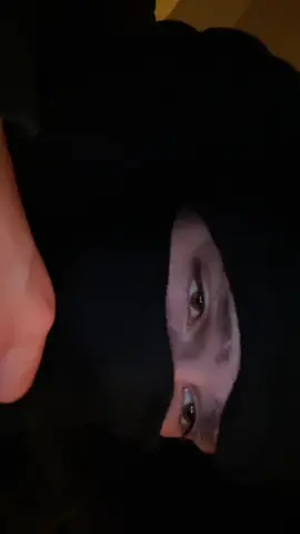 16:03 #night #men #eyes #masque #man #yeux #mlw #nuit #regard #seduction #Love #amour 