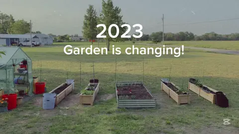 This will be my third year gardening! #seeds #garden #gardening #hobbies #gardenproject #gardening101 #gardentok #gardeninghacks #hobby #gardeningtips #plant #nature #crops #garden2025 #gardenseason #strawberries #growyourownfood #potato 