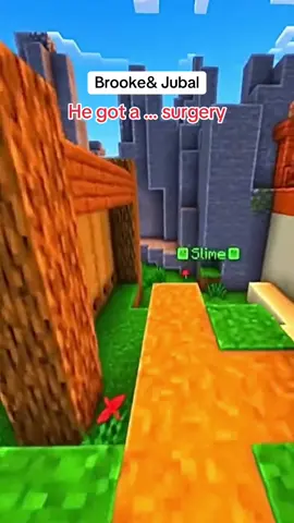 #brookeandjubal #Minecraft #trending #crazystory #brookeandjubalinthemorning 