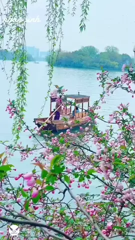 cảnh đẹp nhạc hay ⚘️ ck, sông quê 