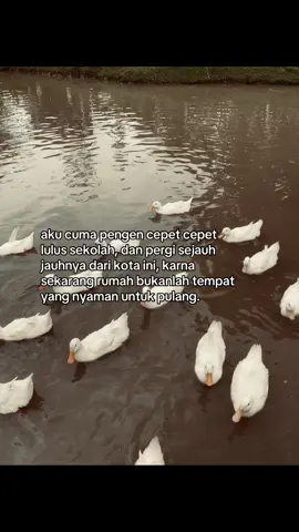 #fyp 