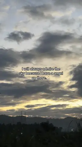 My greatest “what if”.🕊️