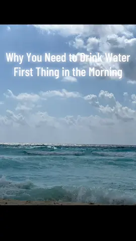 Why you need to drink water.  #functionalmedicine #alkalkalinelifestyle #alkalinediet #holisticfood #homeremedy #fueledbyplants #naturopathic  #drsebi #holistichealing #naturalremedies #holistic #alkaline #herbalremedies #holistichealth #electricfoods #naturalcures #wfpb #preventativehealth #mindbodysoul #healthbenefits #homeremedies #alkalinefood #fatburning #bellyfat #howtodetox #detoxyourbody #detoxification