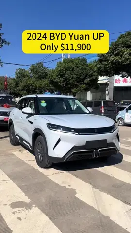 #byd #bydyuanup #yuan #carbusiness #cartiktok #importedcars #chinesecar #suv #electriccar 