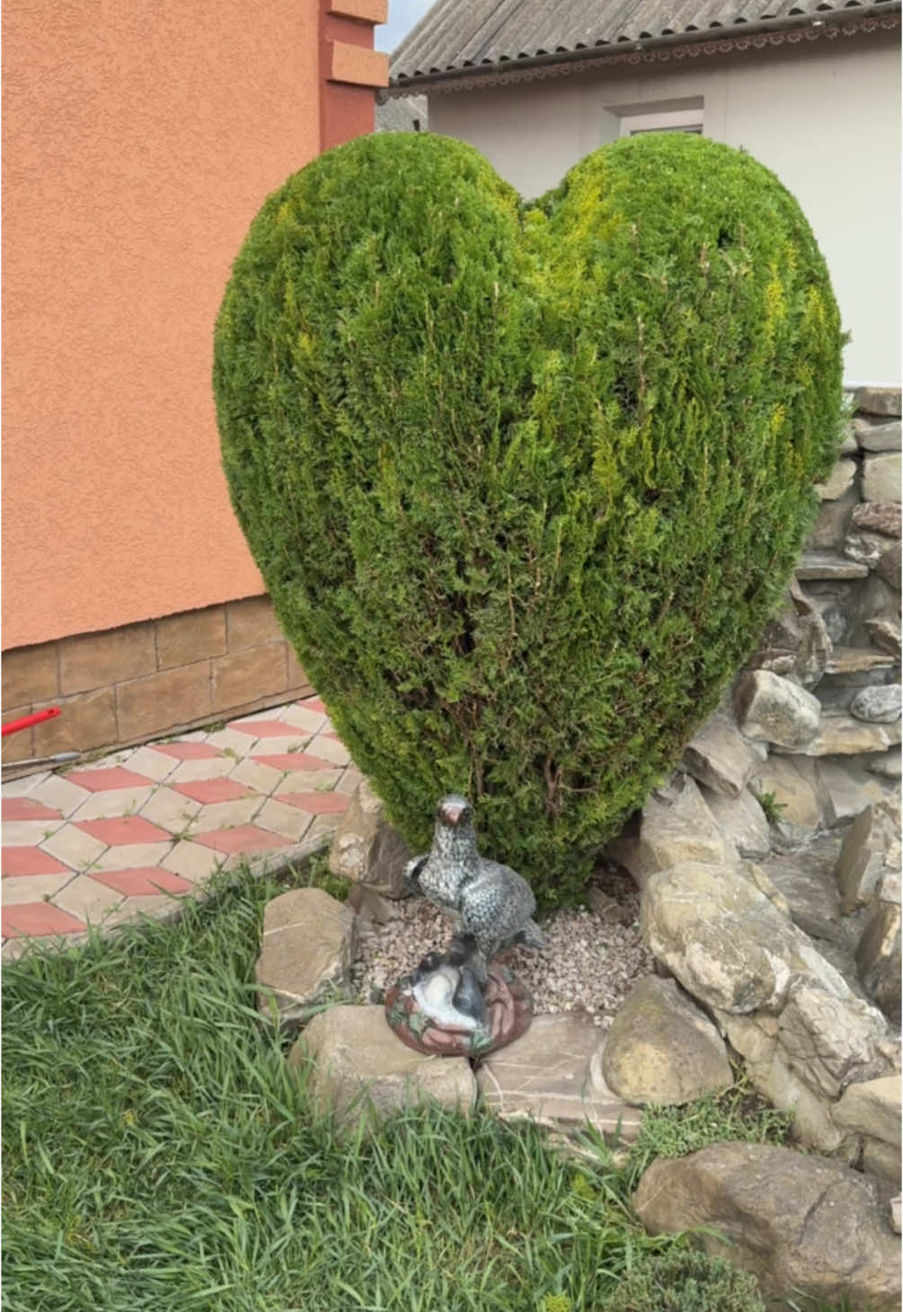 #0660063888 #0507385268 #greengardenchernivtsi #viral_video #topiary #стрижкарослин #topiary #сердце #рекомендации #чернівці @Illya 