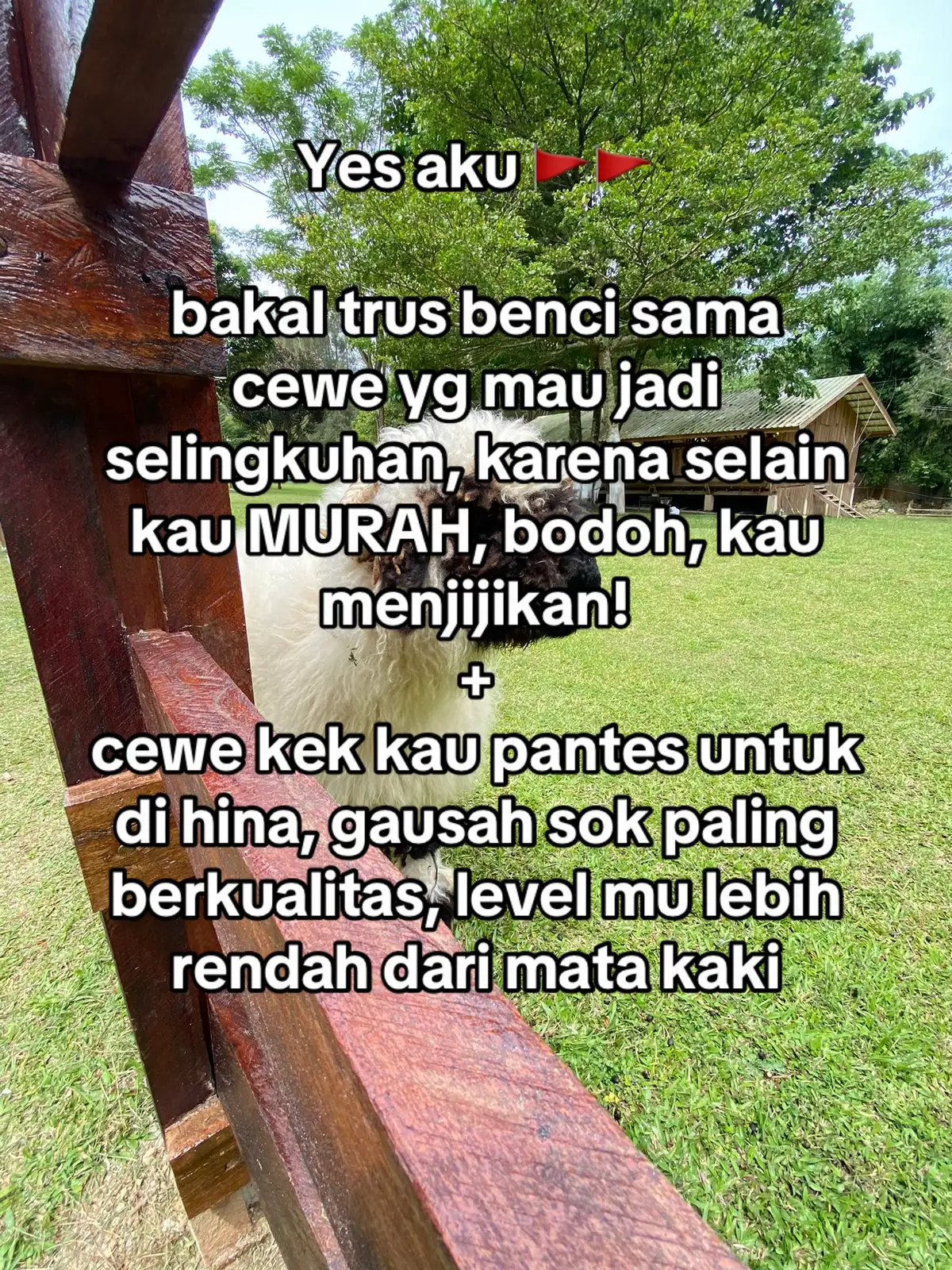 HAHAHAHAHAAA plcr