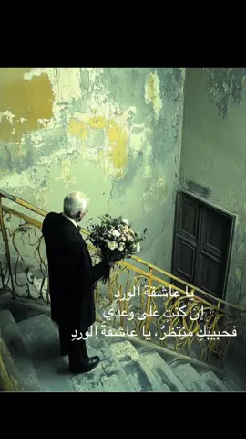 #فصحى #ادب #اقتباس #شعر #fyp 
