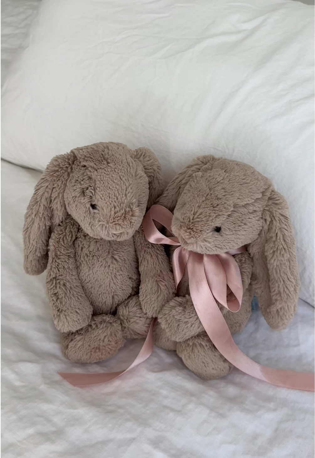 they’re just girls 🐰ྀི #jellycats #girlhood #softaesthetic #coquetteaesthetic #girlygirlaesthetic #fy 