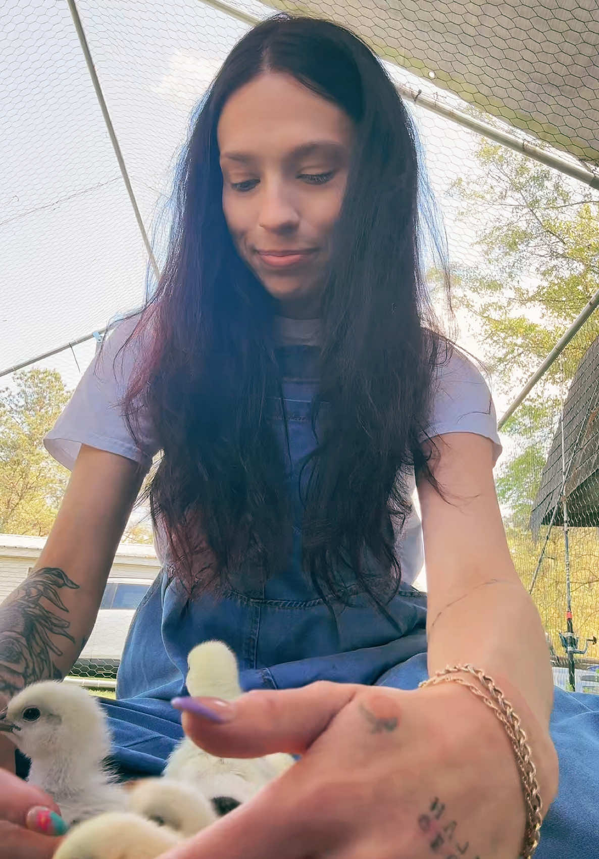 Chicken math is a real thing… I’m still waiting for our store to have a couple of breads I want but I’m almost done finishing my flock this year! #fyp 