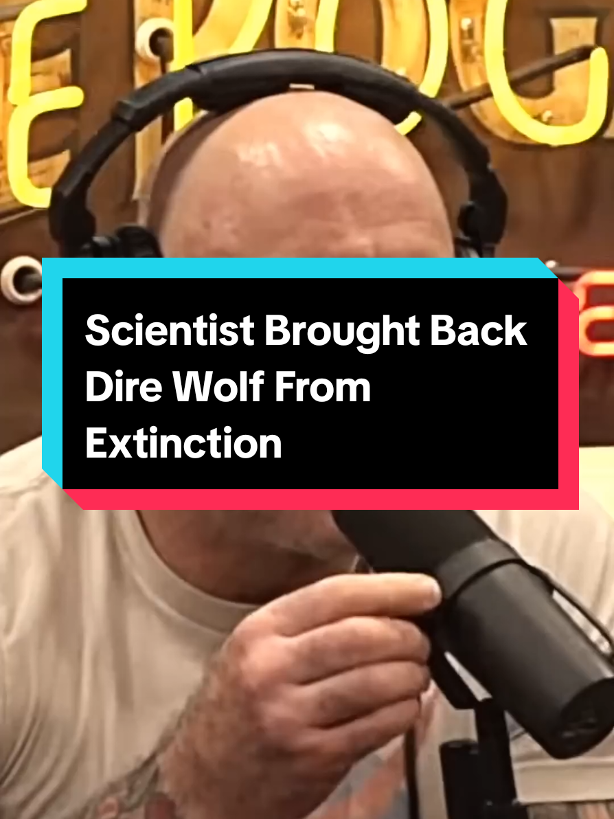 Scientist Brought Back Dire Wolf From Extinction #joerogan #direwolf #fyp
