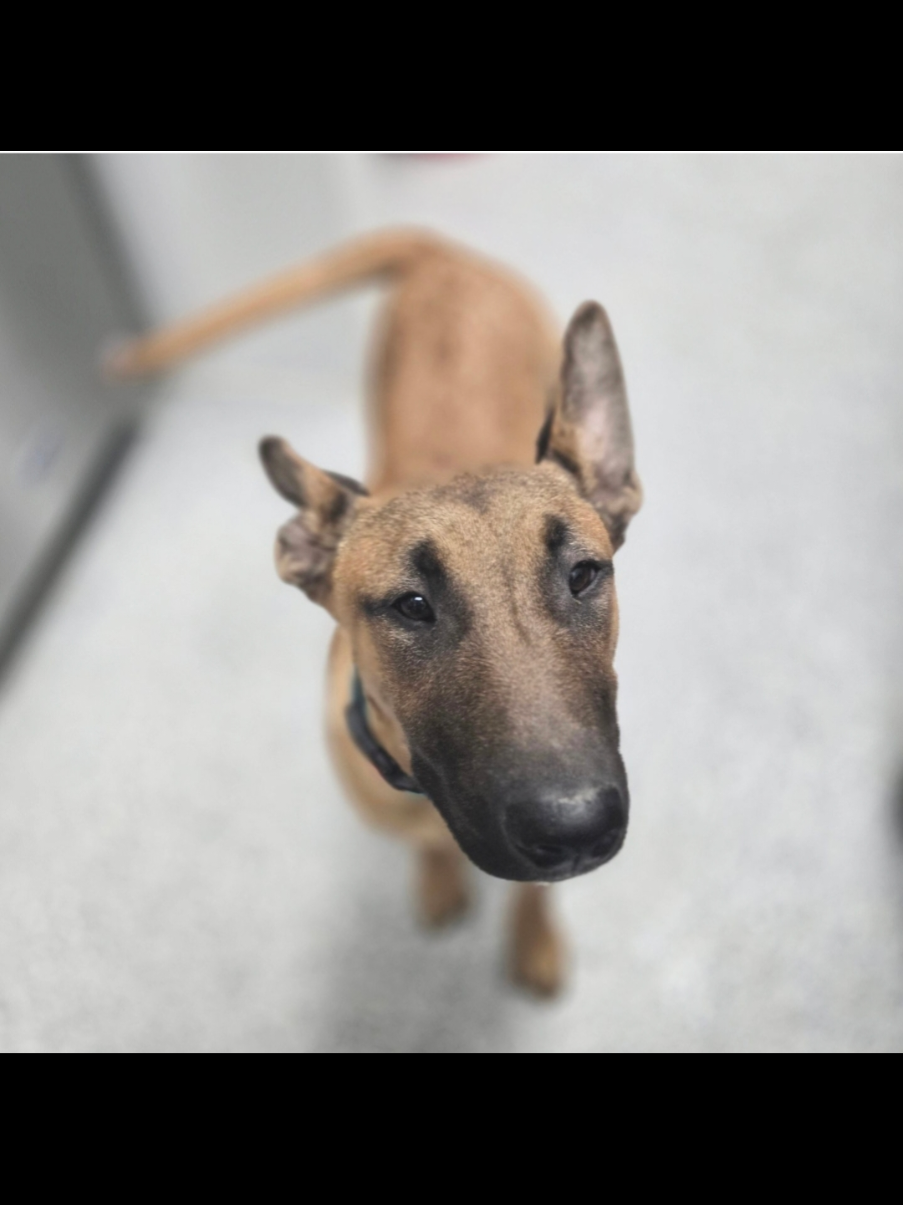 Fenti ❤️ Helping me with dishes and laundry at the shelter today