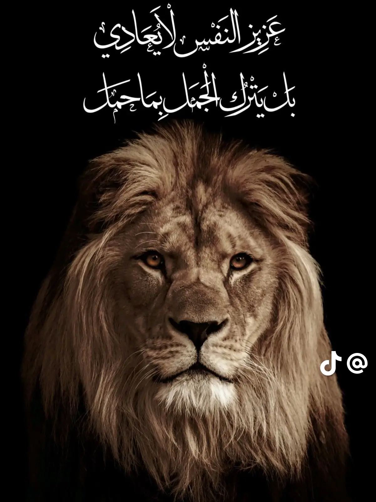 افهم بس 🧏💯 #حموعبده 