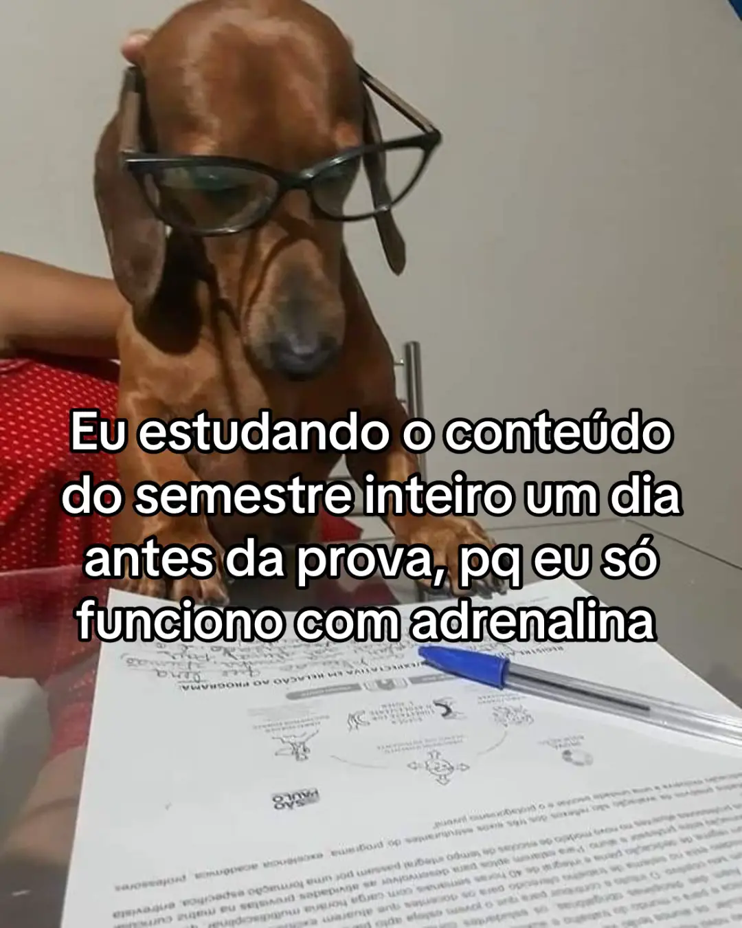 É com fé que a gente consegue  #fyp #fy #prova #estudar #odonto #faculdade #desespero #estudante 